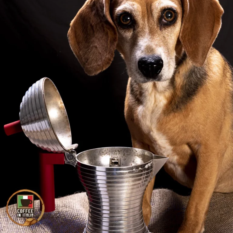 What Are Italian Coffee Makers Called?