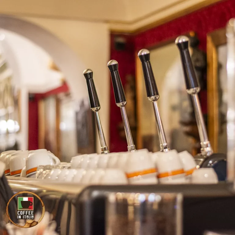 The Italian Manual Espresso Maker – Your Quick Guide