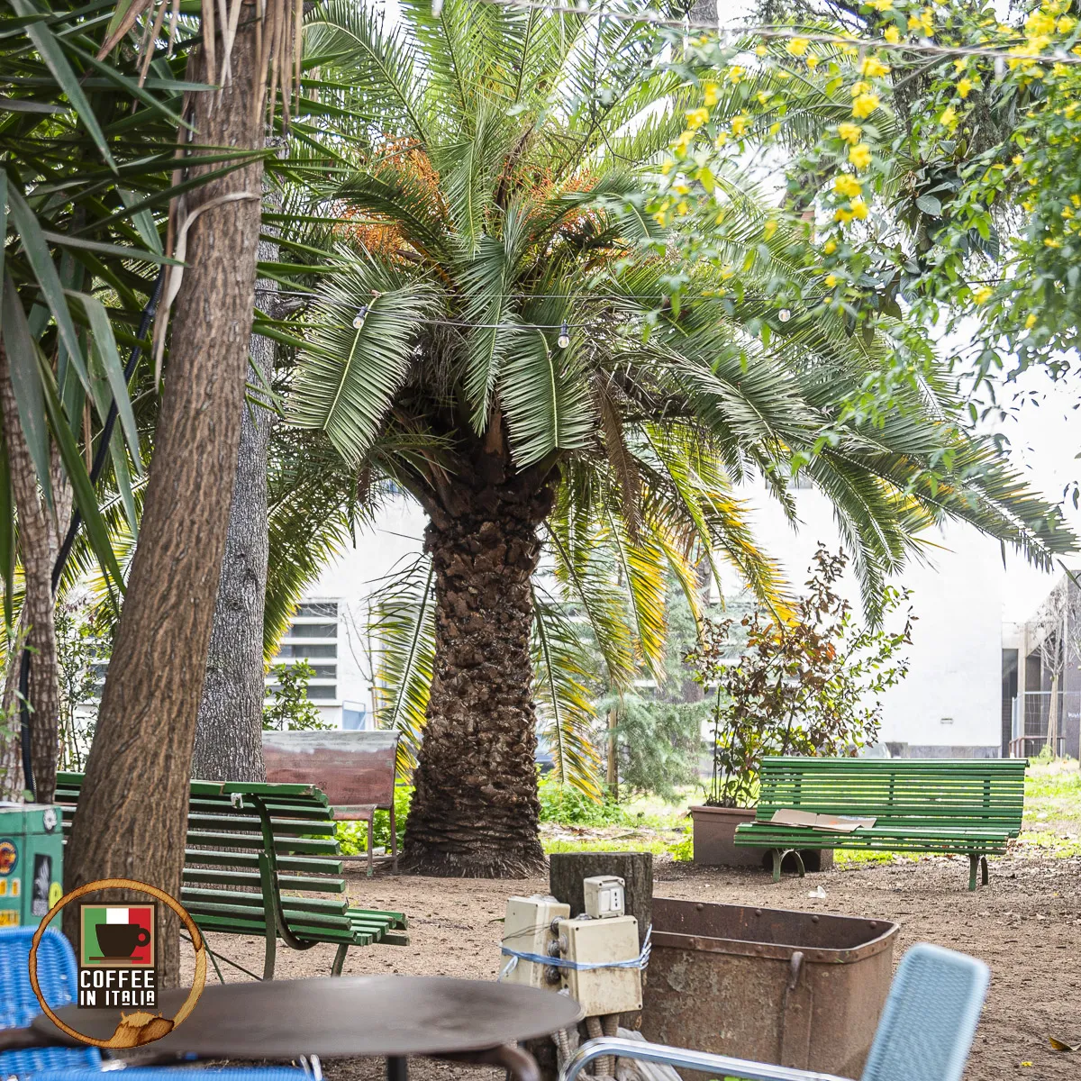 Tram Depot - Greenspace and Benches